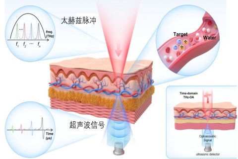 微信截图_20251013104513