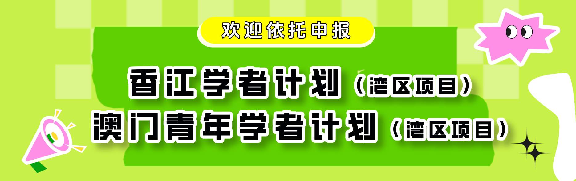 湾区项目2026_副本