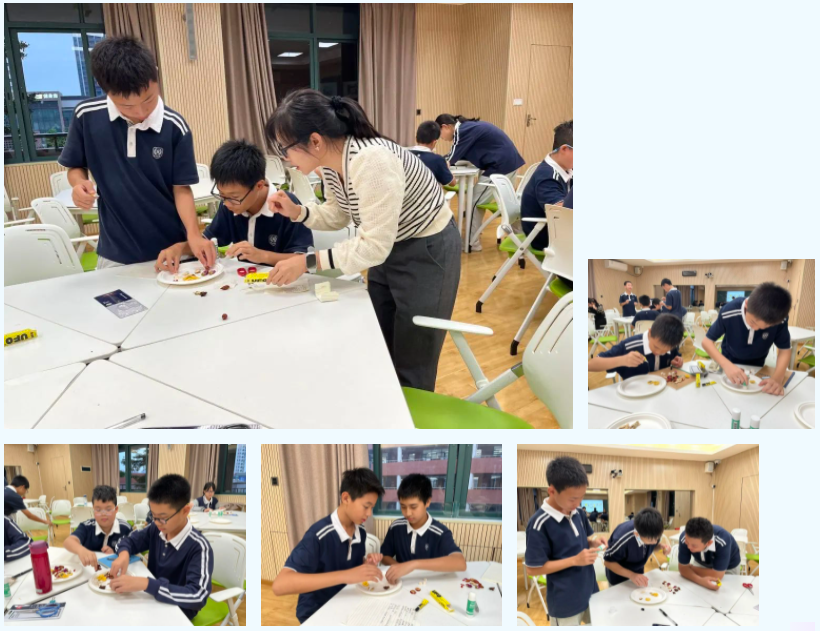 屏幕截图 2023-12-12 165943.png