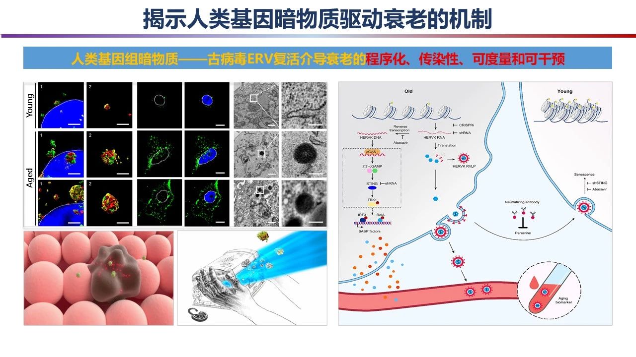 微信图片_20240301091608.jpg 微信图片_20240301091608.jpg