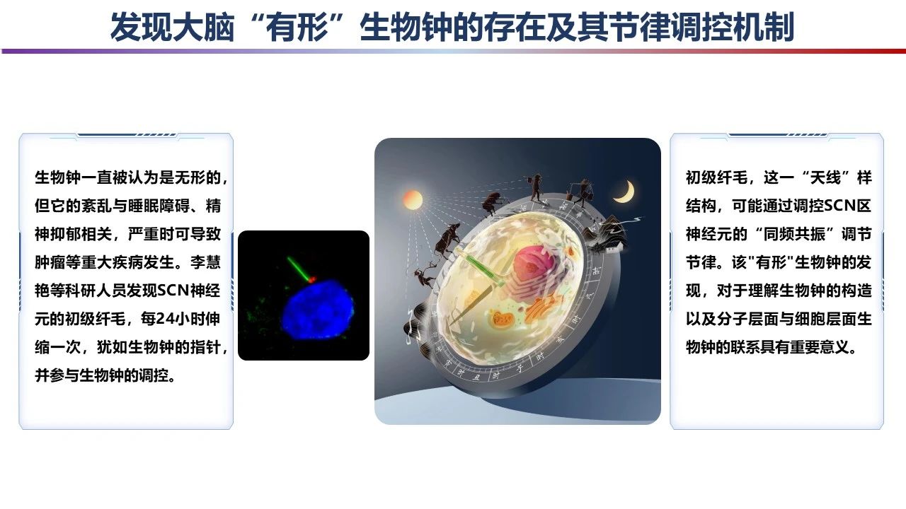 微信图片_20240301091614.jpg 微信图片_20240301091614.jpg