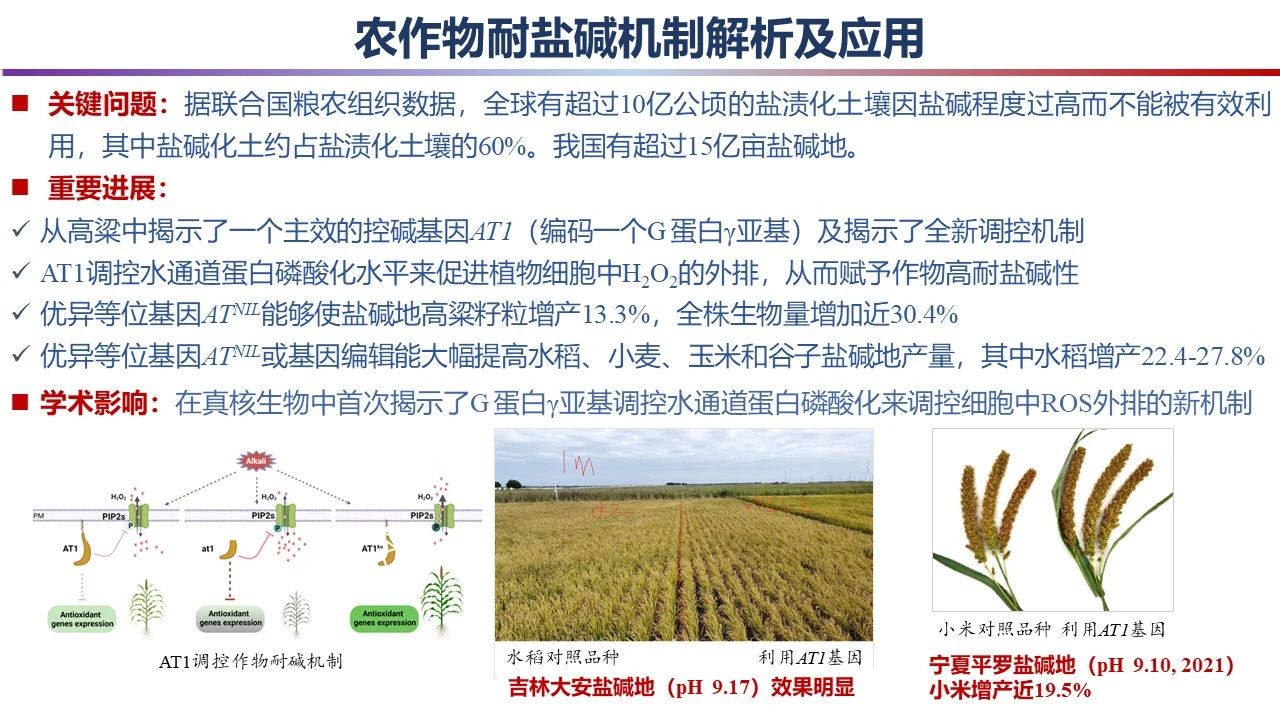 微信图片_20240301091619.jpg 微信图片_20240301091619.jpg