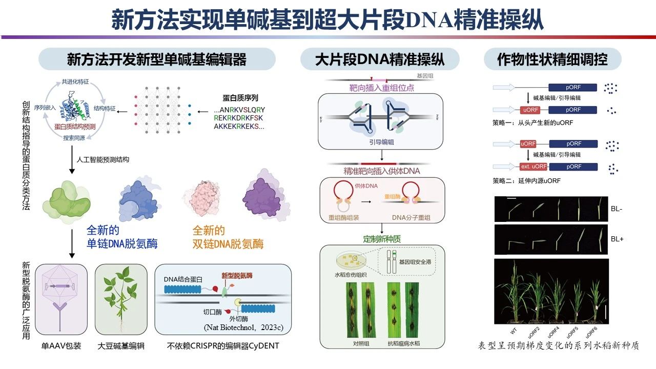 微信图片_20240301091626.jpg 微信图片_20240301091626.jpg