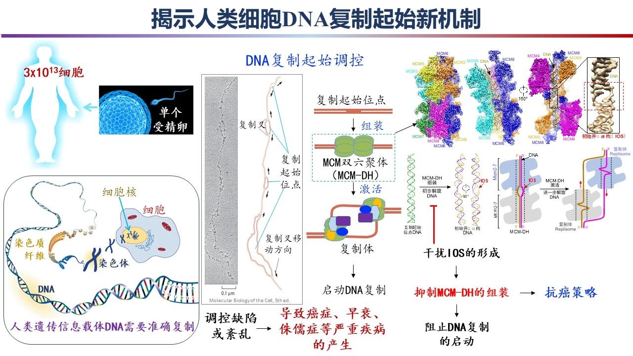 微信图片_20240301091632.jpg 微信图片_20240301091632.jpg
