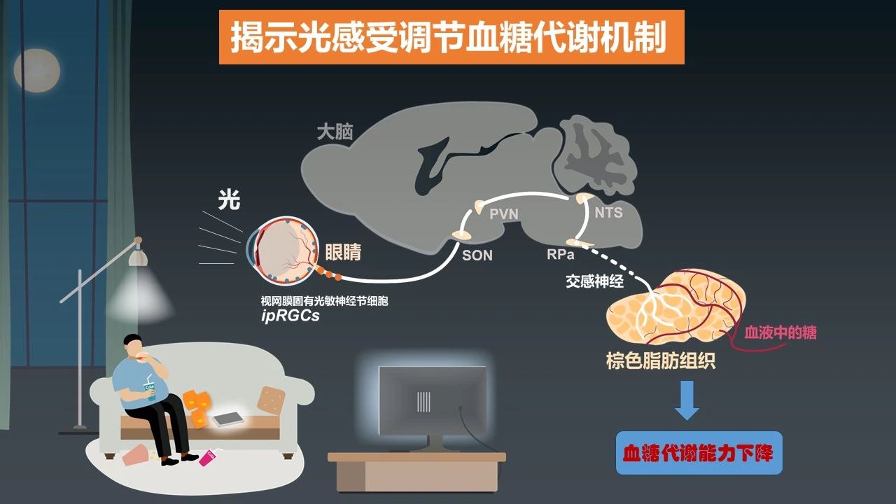 微信图片_20240301091646.jpg 微信图片_20240301091646.jpg